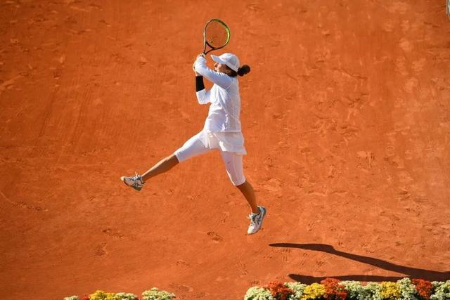 迷文化的案 迷文化的案