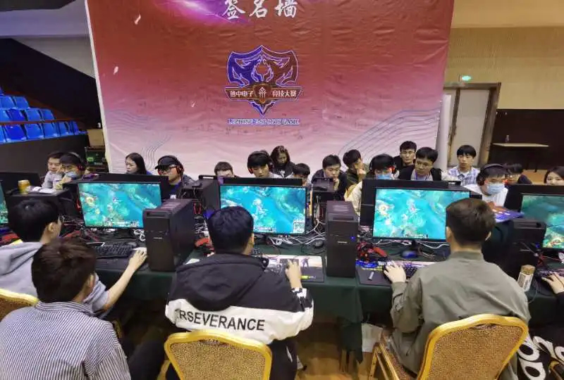 向的主要依 向的主要依